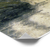Adirondack Birches Poster (Ecke)
