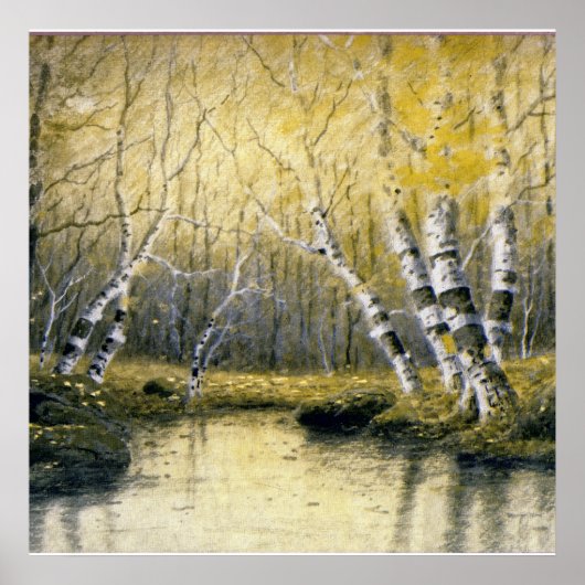 Adirondack Birches Poster (Vorne)