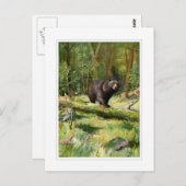 Adirondack Black Bear Postkarte (Vorne/Hinten)