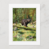 Adirondack Black Bear Postkarte (Vorderseite)