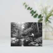 Adirondack Fischen Postkarte (Stehend Vorderseite)