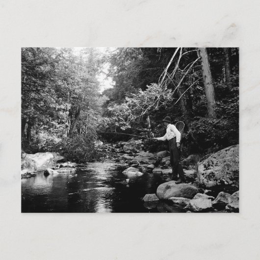 Adirondack-Fliegenfischen Postkarte (Vorderseite)
