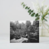 Adirondack Kanufischerei Postkarte (Stehend Vorderseite)