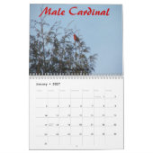 Adirondack-Naturkalender Kalender (Jan 2027)