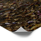 Adirondack-Pfad Poster (Ecke)