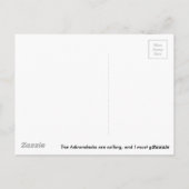 Adirondack Postkarte (Rückseite)