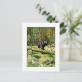 Adirondack Schwarzbär Postkarte (Stehend Vorderseite)