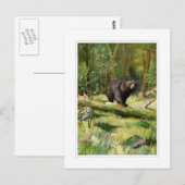 Adirondack Schwarzbär Postkarte (Vorne/Hinten)