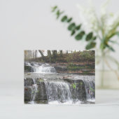 Adirondack Waterfall Posta Postkarte (Stehend Vorderseite)