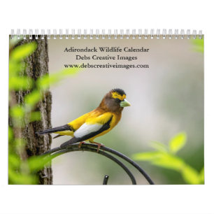 Adirondack Wildlife 2025 Kalender