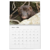 Adirondack Wildlife 2026 Kalender (Mär 2026)