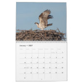 Adirondack Wildlife 2026 Kalender (Jan 2027)