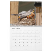Adirondack Wildlife 2026 Kalender (Mär 2027)