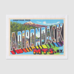 Adirondacks New York Vintage Große Buchstabe Postk Seidenpapier