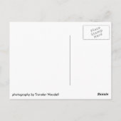 Adirondacks Post Card #001 Postkarte (Rückseite)