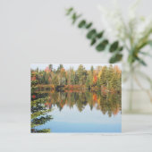Adirondacks Upper Chub River Autumn Scene Postkarte (Stehend Vorderseite)