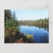 Adirondacks Upper Chub River Autumn Scene Postkarte (Vorderseite)