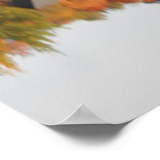 Adirondacks Upper Chub River North Elba Poster (Ecke)