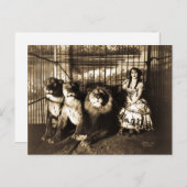 Adjie und die Löwen 1899 Vintager Zirkus Postkarte (Vorne/Hinten)