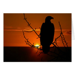 Adler
