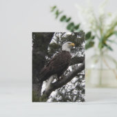 Adler 10 postkarte (Stehend Vorderseite)