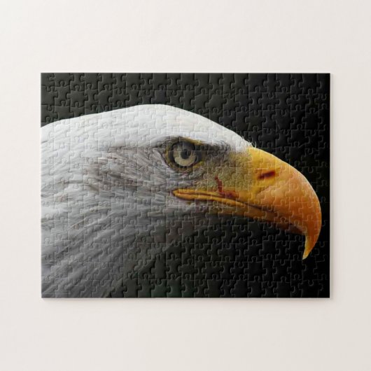 Adler 11x14 252pc jpcn puzzle (Horizontal)