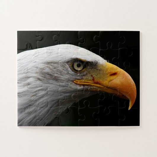 Adler 11x14 30pc jpcn puzzle (Horizontal)