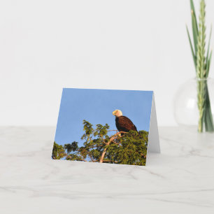 Adler #1 - Blank Note Card Dankeskarte