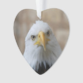 Adler_2015_0201 Ornament (Vorderseite)