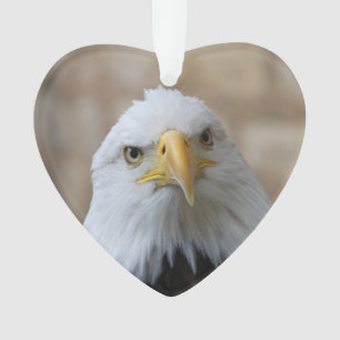 Adler_2015_0201 Ornament