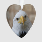Adler_2015_0201 Ornament (Vorderseite)