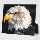 Adler 2 fotoplatte (Seite)