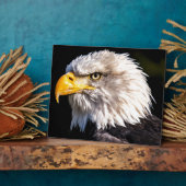 Adler 2 fotoplatte (Seite)