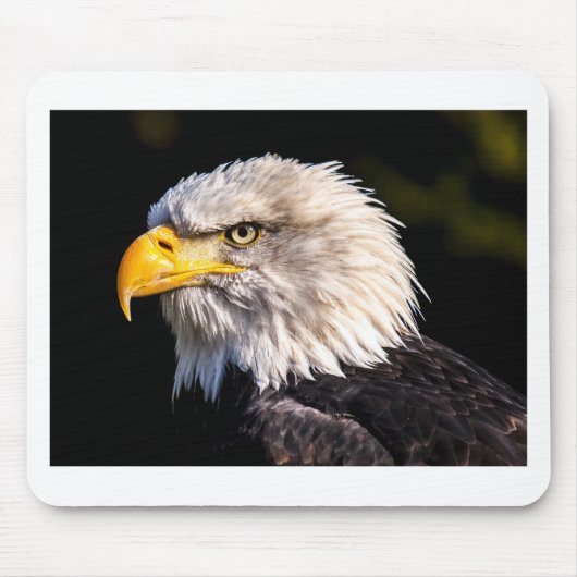 Adler 2 mousepad (Vorne)