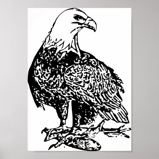 Adler 2 Print, Value Poster Paper (Matte) (Vorne)
