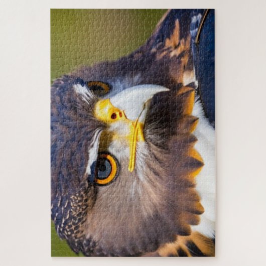 Adler 2 puzzle (Vertikal)