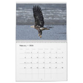 Adler 3 kalender (Feb 2026)