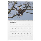 Adler 3 kalender (Jan 2026)