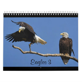 Adler 3 kalender