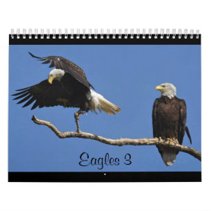 Adler 3 kalender