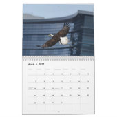 Adler 3 kalender (Mär 2027)