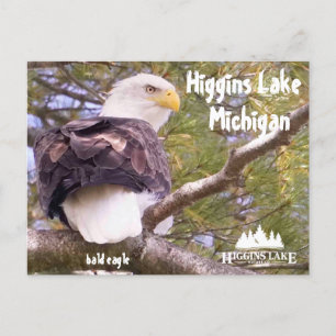 Adler am Higgins Lake, Michigan Feiertagspostkarte