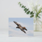 Adler am Himmel Postkarte (Stehend Vorderseite)