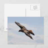 Adler am Himmel Postkarte (Vorne/Hinten)