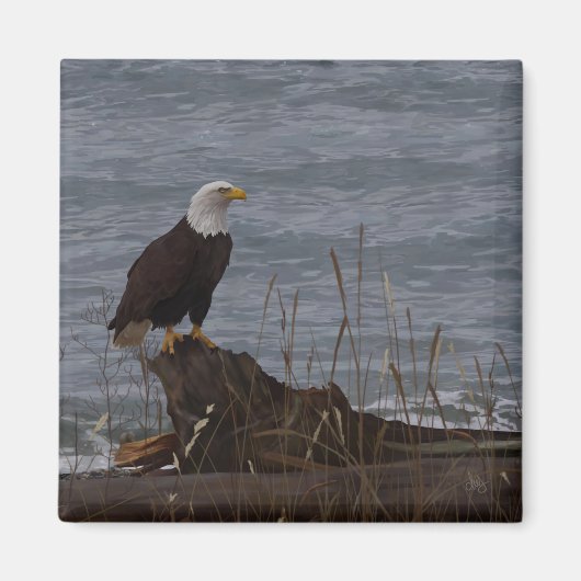 Adler am South Beach Magnet (Vorne)