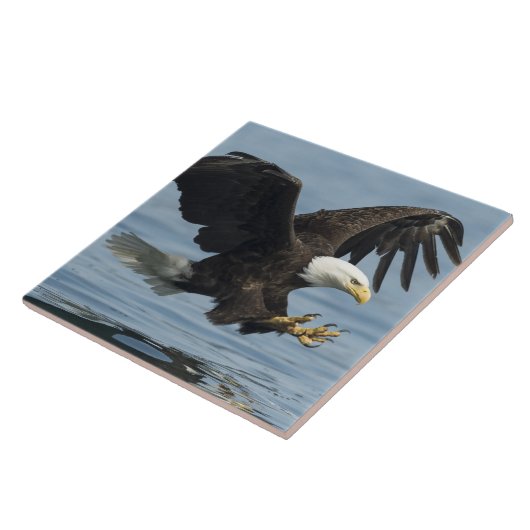 Adler auf Ansatz Fliese (Seite)