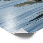 Adler auf Ansatz Fotodruck (Ecke)