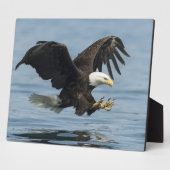 Adler auf Ansatz Fotoplatte (Seite)