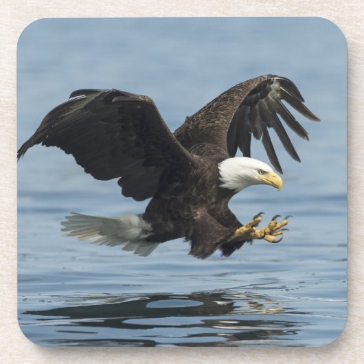Adler auf Ansatz Getränkeuntersetzer (Vorderseite)