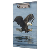 Adler auf Ansatz Klemmbrett (Links)